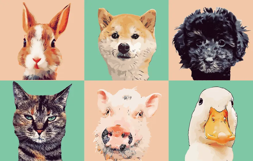 多様なペットで作れる