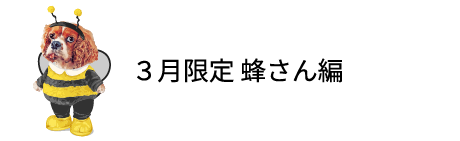３月限定 蜂さん編