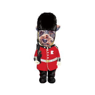 ロンドンの兵隊さん編